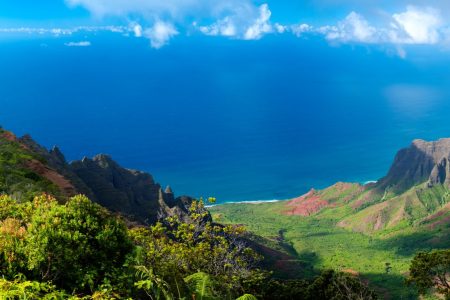 Praxis Innerer Garten_Adobe_Hawaii